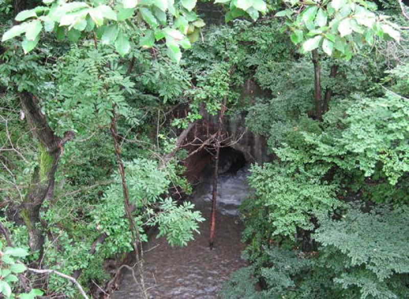 100Remains of Former Ohikage railway tunnel